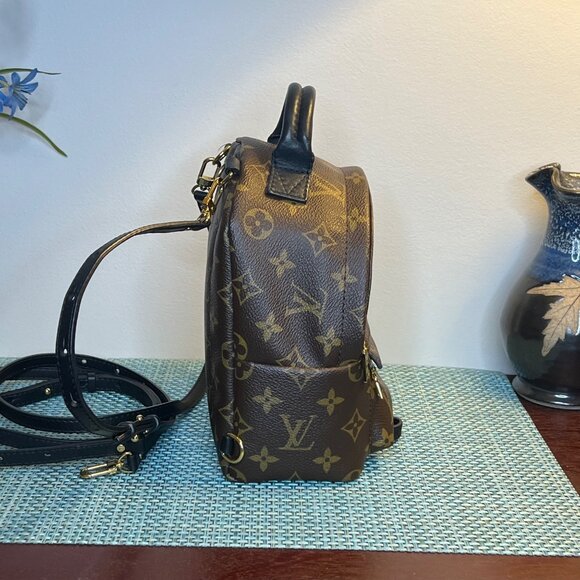 Louis Vuitton Monogram Palm Springs Mini Backpack, blk leather trim, Gold HW - Picture 8 of 16